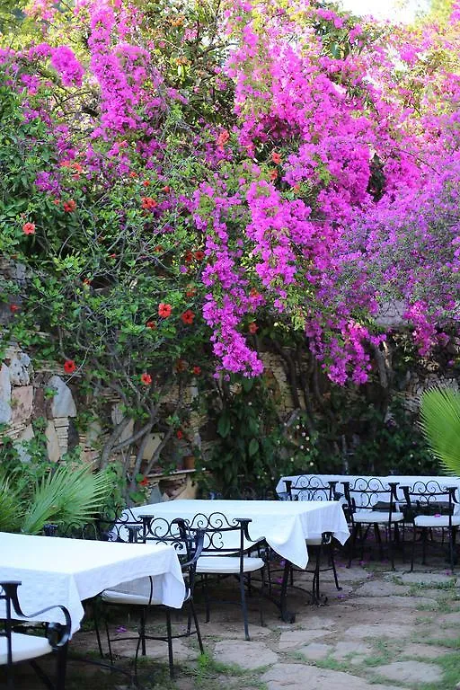 Paradise Garden Hotel Ölüdeniz